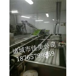 佳美食品机械 山菜气泡清洗机销售 山菜气泡清洗机